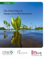 The global value of mangroves for risk reduction